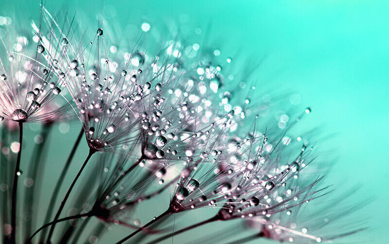 CSS鼠标经过 hover延迟消失时间特效-i空间